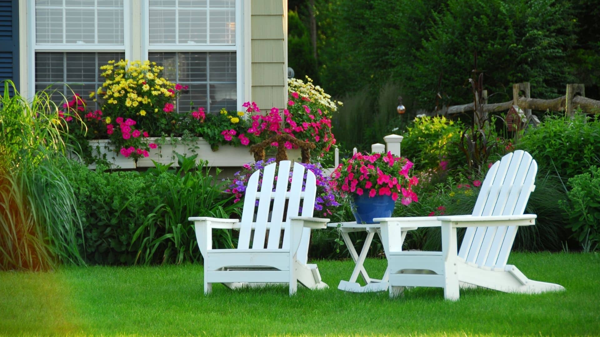 M35470 - Maintenance Tips To Keep Your Lawn Healthy Cover